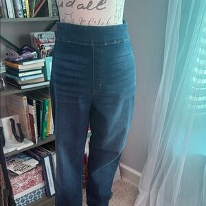 Women’s Classic Blue High Rise Pull on Jeggings